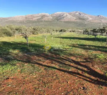 Parcel 6300m<sup>2</sup> for sale photo 1