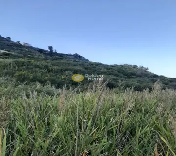 Professional Plot 8500m<sup>2</sup> for sale photo 2456793