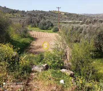 Parcel 2856m<sup>2</sup> for sale photo 4