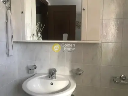 Μονοκατοικία 245τ.μ. προς ενοικίαση φωτογραφία 22