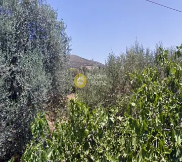Residential 3300m<sup>2</sup> for sale photo 2461736