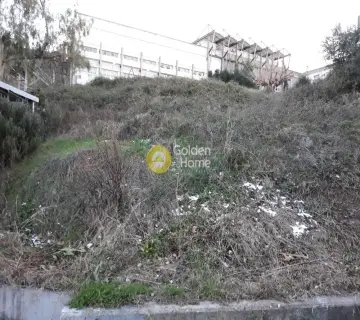 Residential 1245m<sup>2</sup> for sale photo 2467724