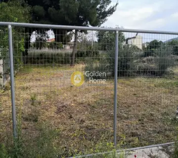 Residential 800m<sup>2</sup> for sale photo 2