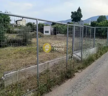 Residential 800m<sup>2</sup> for sale photo 3