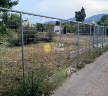 Residential 800m<sup>2</sup> for sale photo 5