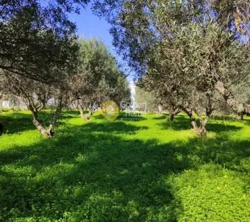Residential 1000m<sup>2</sup> for sale photo 5