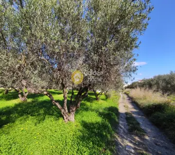 Residential 1000m<sup>2</sup> for sale photo 7
