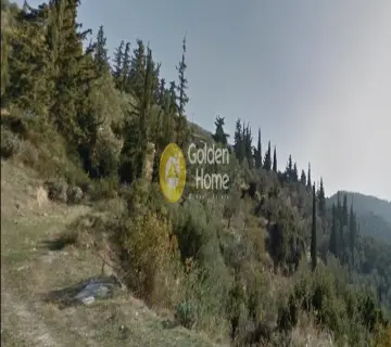 Golden Home Property Image