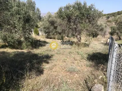 Residential 1200m<sup>2</sup> for sale photo 3
