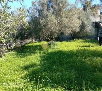 Residential 880m<sup>2</sup> for sale photo 2