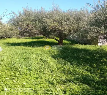 Residential 880m<sup>2</sup> for sale photo 5