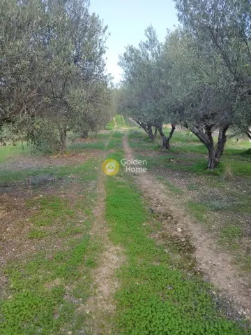 Parcel 5000m<sup>2</sup> for sale photo 1