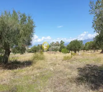 Residential 2140m<sup>2</sup> for sale photo 2473794