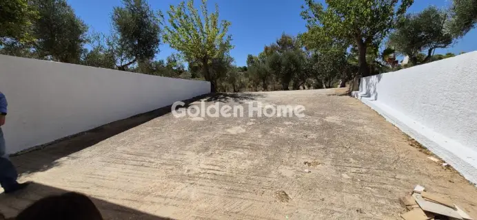 Μονοκατοικία 120τ.μ. προς ενοικίαση φωτογραφία 5691804