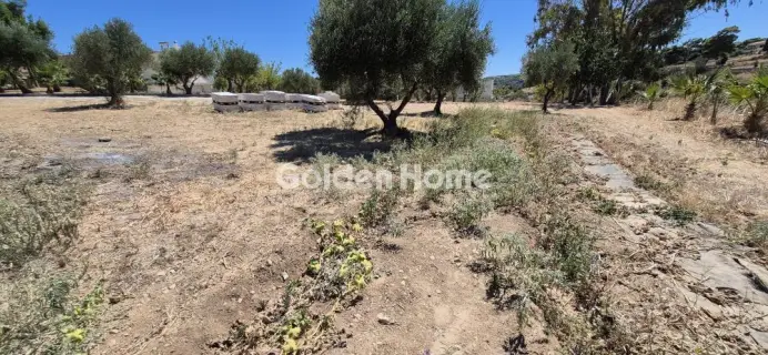 Μονοκατοικία 120τ.μ. προς ενοικίαση φωτογραφία 5691818