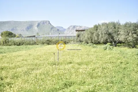 Parcel 710m<sup>2</sup> for sale photo 5