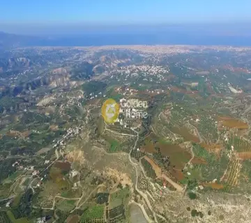 Golden Home Property Image