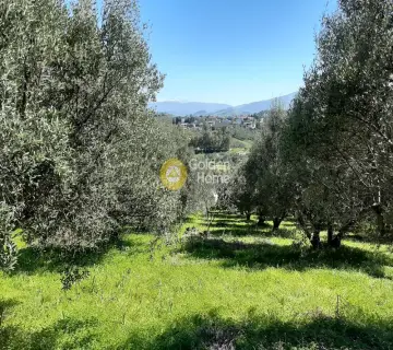 Residential 2900m<sup>2</sup> for sale photo 2475679