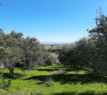 Residential 2900m<sup>2</sup> for sale photo 2475680