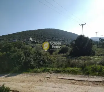 Parcel 4650m<sup>2</sup> for sale photo 14