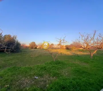 Professional Plot 4000m<sup>2</sup> for rent photo 2477518