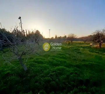 Professional Plot 4000m<sup>2</sup> for rent photo 2477508