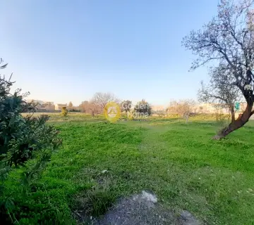 Professional Plot 4000m<sup>2</sup> for rent photo 2477516
