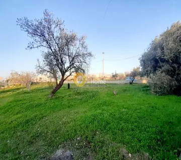 Professional Plot 4000m<sup>2</sup> for rent photo 2477517