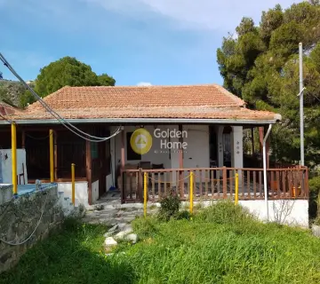 Golden Home Property Image