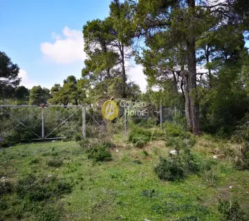 Residential 2176m<sup>2</sup> for sale photo 2487220