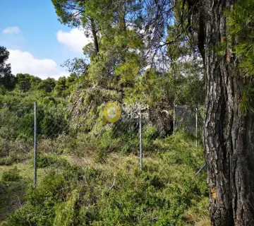 Residential 2176m<sup>2</sup> for sale photo 2487222