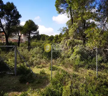 Residential 2176m<sup>2</sup> for sale photo 2487223