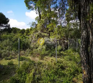Residential 2176m<sup>2</sup> for sale photo 2487224
