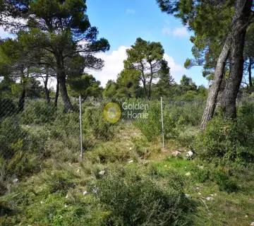 Residential 2176m<sup>2</sup> for sale photo 2487228