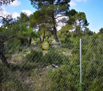 Residential 2176m<sup>2</sup> for sale photo 2487238