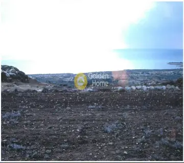 Professional Plot 30540m<sup>2</sup> for sale photo 4