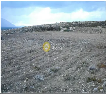 Professional Plot 30540m<sup>2</sup> for sale photo 5