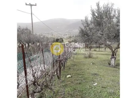 Μονοκατοικία 60τ.μ. προς πώληση φωτογραφία 2486513