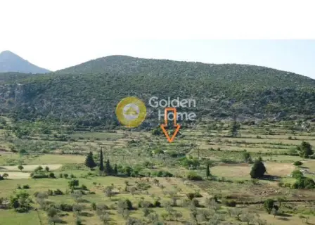 Μονοκατοικία 60τ.μ. προς πώληση φωτογραφία 2486516