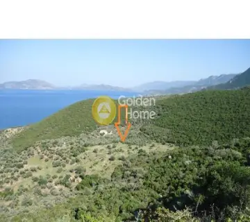 Parcel 11815m<sup>2</sup> for sale photo 2486685