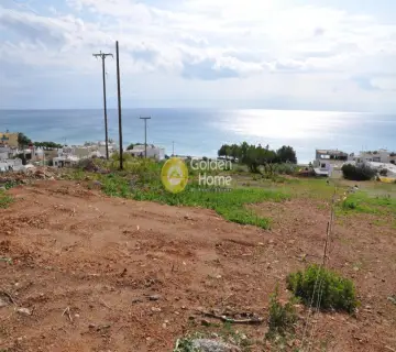 Residential 5547m<sup>2</sup> for sale photo 4