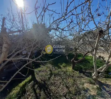 Residential 568m<sup>2</sup> for sale photo 4
