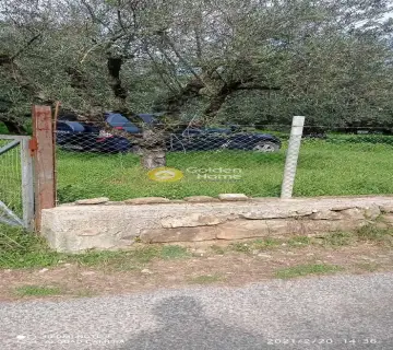 Residential 10000m<sup>2</sup> for sale photo 2489816