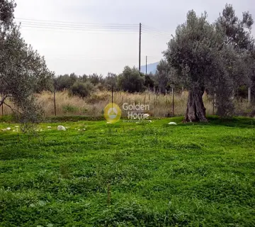 住宅 5150m<sup>2</sup> for sale photo 2