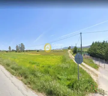 Professional Plot 10000m<sup>2</sup> for sale photo 2491473