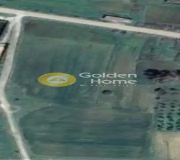 Professional Plot 10000m<sup>2</sup> for sale photo 2491474