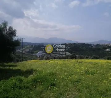 Αγροτεμάχιο 4079τ.μ. προς πώληση φωτογραφία 3
