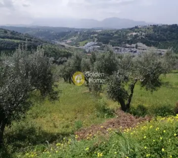 Αγροτεμάχιο 4079τ.μ. προς πώληση φωτογραφία 10
