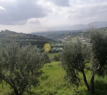 Αγροτεμάχιο 4079τ.μ. προς πώληση φωτογραφία 13