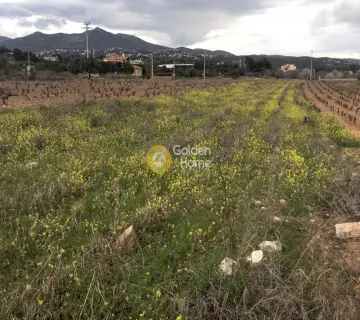 Golden Home Property Image